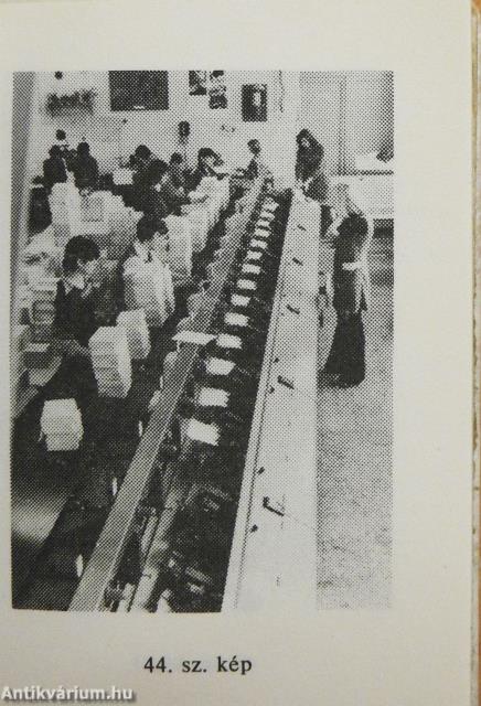 Szekszárd város nyomdászata (minikönyv) - Plakettel