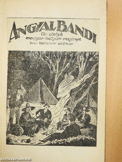 Angyal Bandi I-IV. (rossz állapotú)