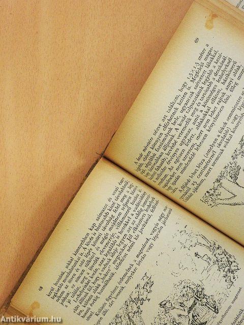 ...hol nem volt... (rossz állapotú)