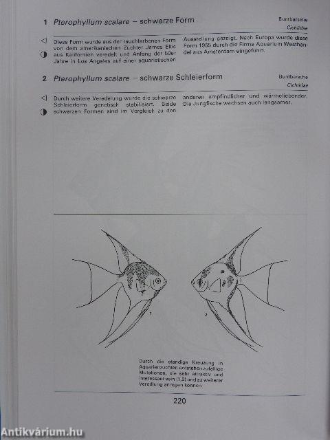 Das Grosse Naturlexikon - Aquarienfische