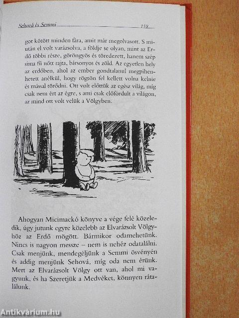 Micimackó és a tao