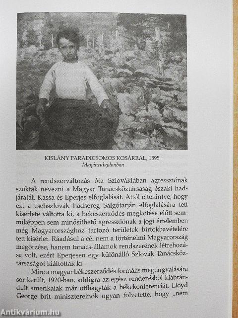 Magyar Szemle 2007. december