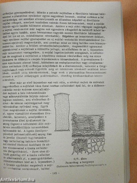 Növényszervezettan