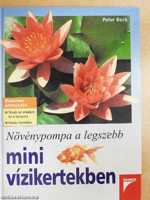 Növénypompa a legszebb mini vízikertekben