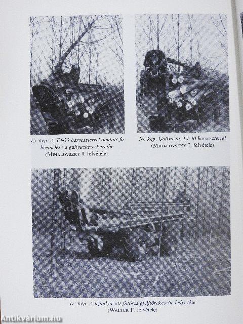 A nyár termesztése és hasznosítása