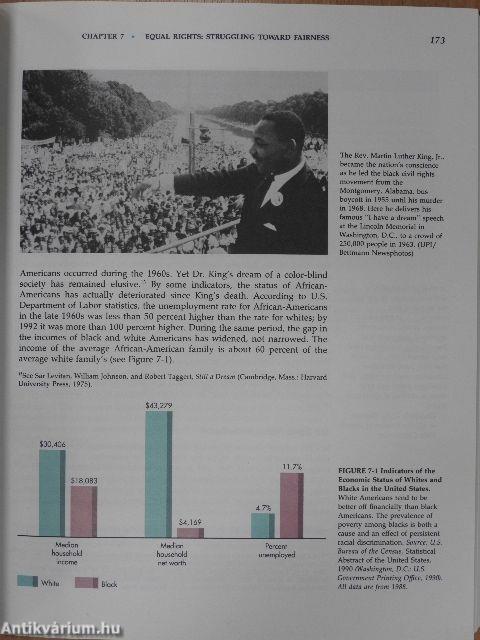 The American Democracy
