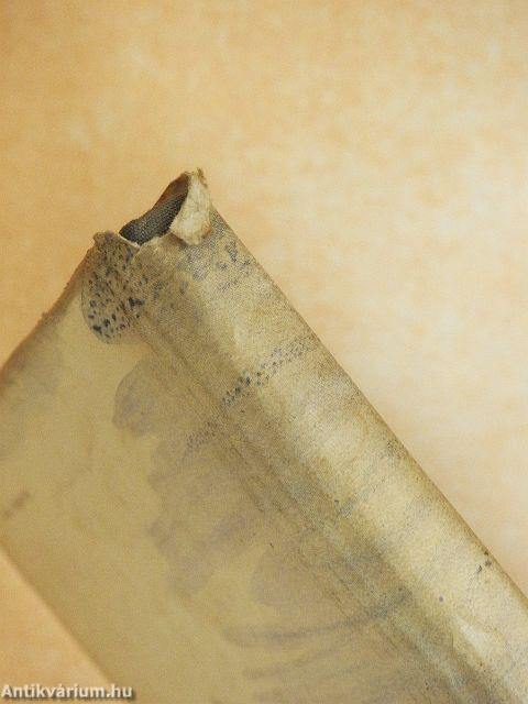 Az öreg halász és a tenger