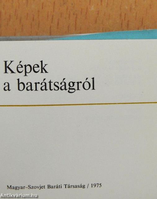 Képek a barátságról (minikönyv) (számozott)