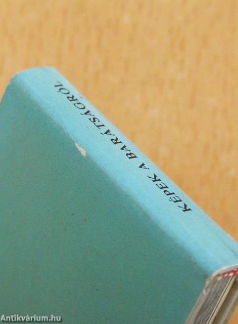 Képek a barátságról (minikönyv) (számozott)