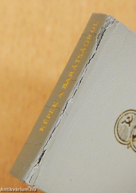 Képek a barátságról (minikönyv) (számozott)