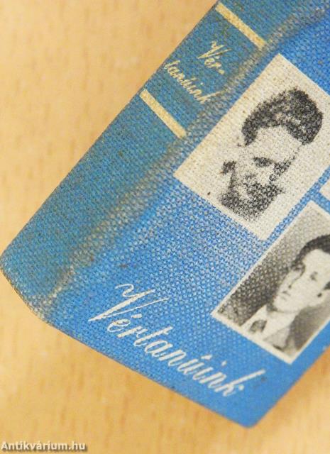 Vértanúink (minikönyv) (számozott)