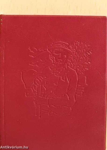 1918-1919 a mezőcsáti járásban (minikönyv) (számozott)