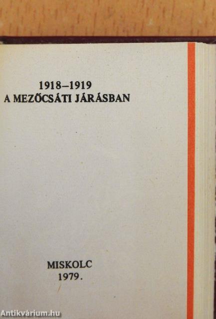 1918-1919 a mezőcsáti járásban (minikönyv) (számozott)