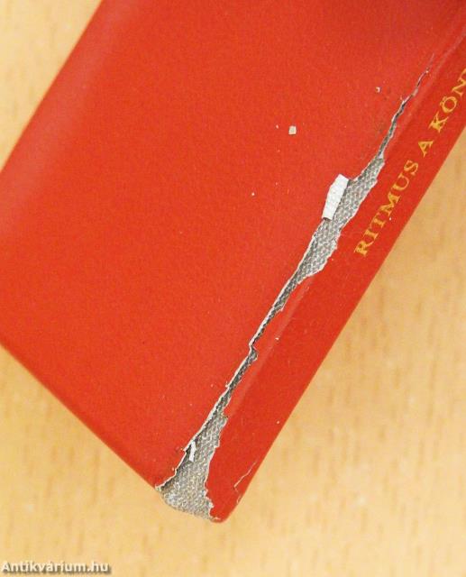 Ritmus a könyvről (minikönyv)