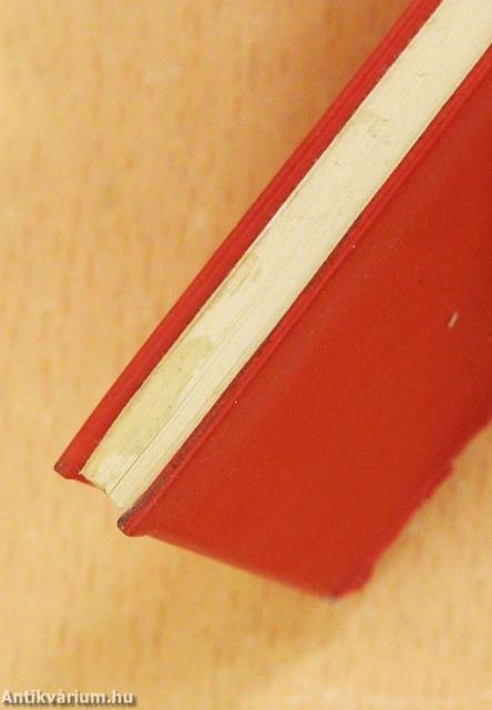 Ritmus a könyvről (minikönyv)