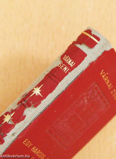 Egy harcos asszony írásai (minikönyv) (számozott)