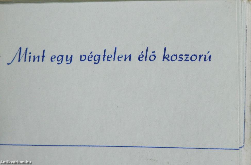 Nemzetközi Nőnap (minikönyv)