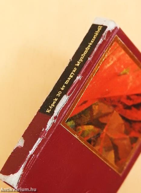 Képek 30 év magyar képzőművészetéből (minikönyv)