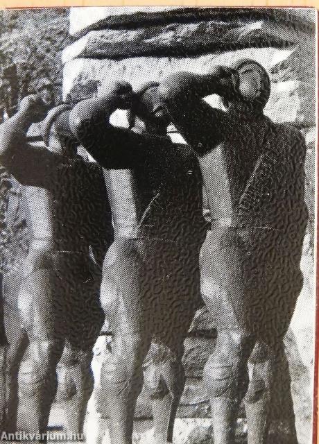 Képek 30 év magyar képzőművészetéből (minikönyv)