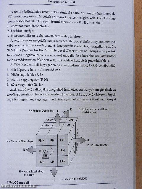 Csoportdinamika