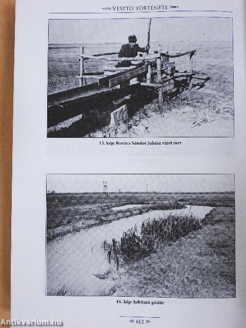 Vésztő története