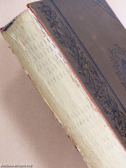 Fr. Chr. Schlosser's Weltgeschichte für das deutsche Volk 1-19. (gótbetűs) (rossz állapotú)