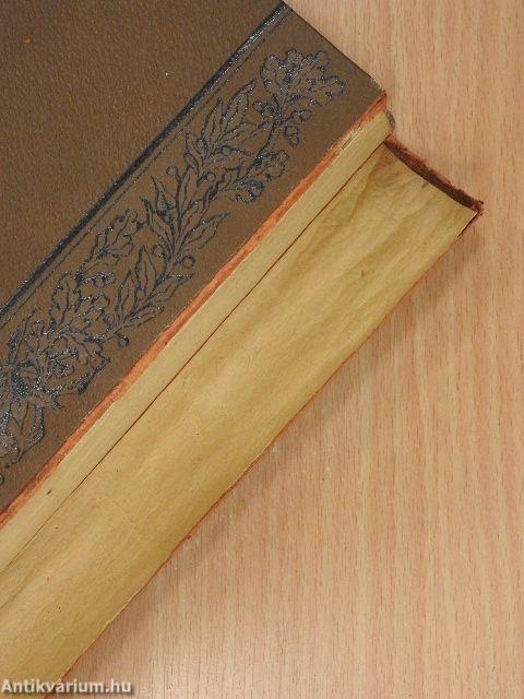 Fr. Chr. Schlosser's Weltgeschichte für das deutsche Volk 1-19. (gótbetűs) (rossz állapotú)