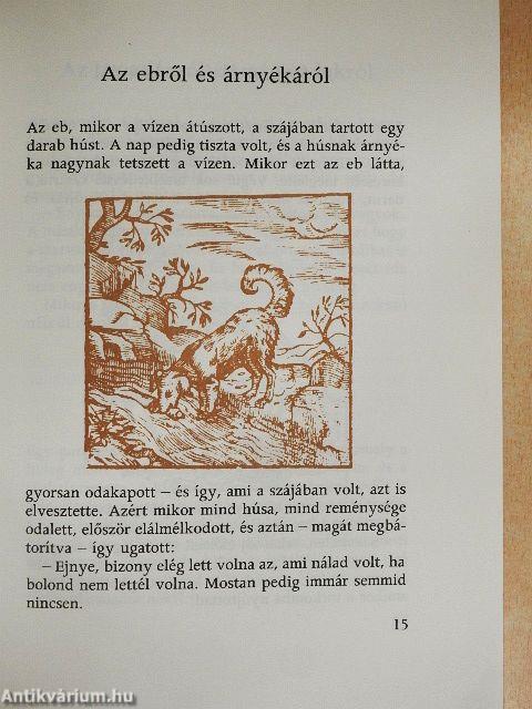 A madarakról és a vadakról