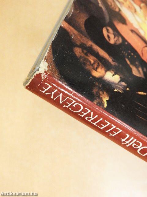 Vermeer van Delft életregénye