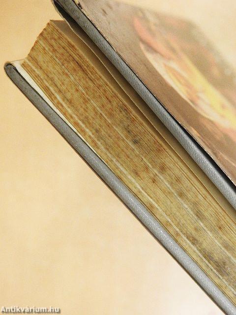 Vermeer van Delft életregénye