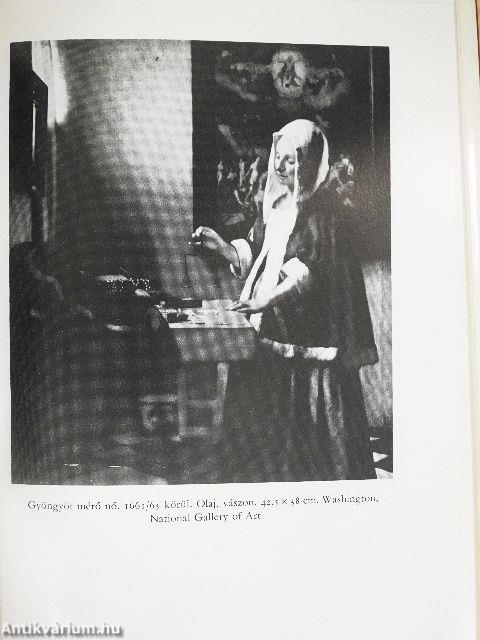 Vermeer van Delft életregénye