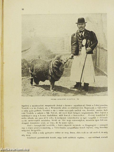 A magyar nép művészete III. (rossz állapotú)