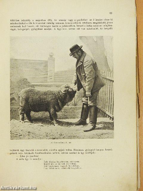 A magyar nép művészete III. (rossz állapotú)