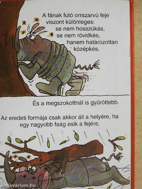 Amit az orrszarvúkról feltétlenül tudni kell