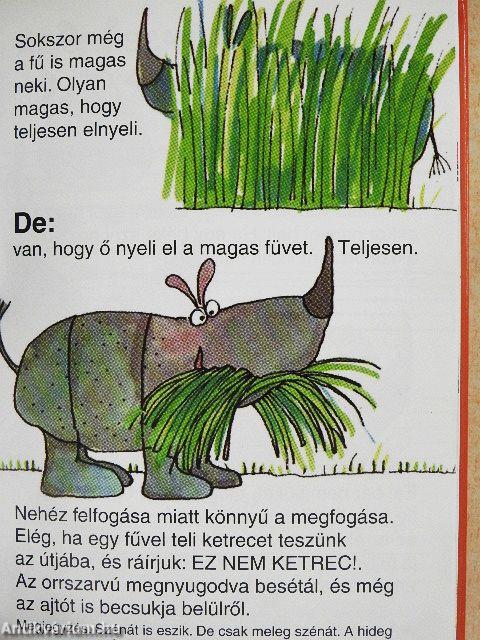 Amit az orrszarvúkról feltétlenül tudni kell