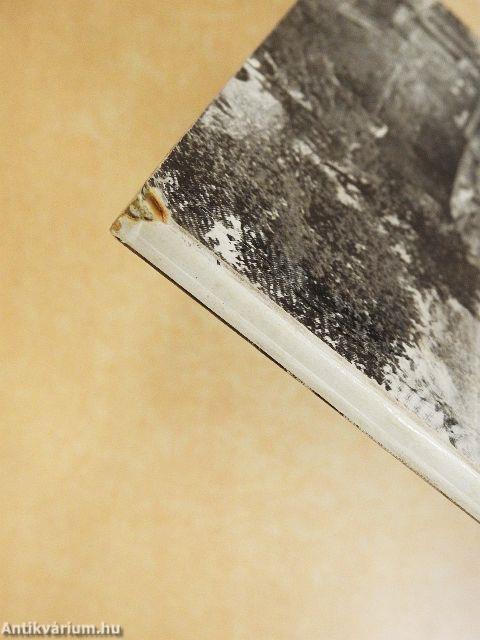 Az esztergomi királyi palota