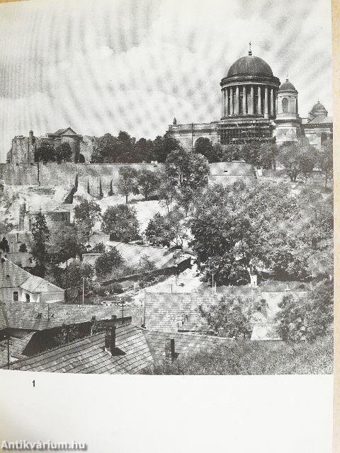 Az esztergomi királyi palota