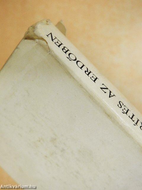 Kerítés az erdőben