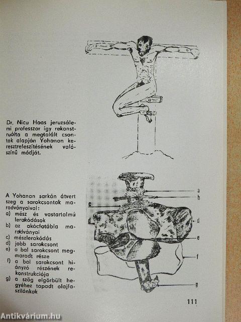 A torinói halotti lepel