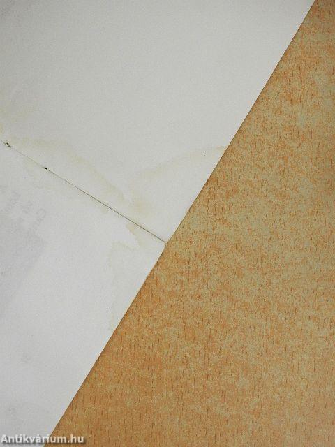 Akit Isten szeretete sürgetett