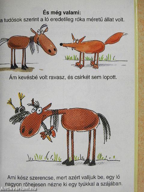 Amit a lovakról feltétlenül tudni kell