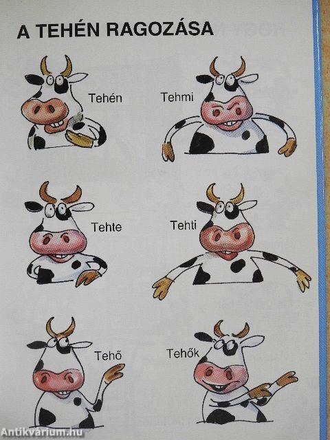 Amit a tehenekről feltétlenül tudni kell