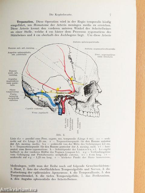 Chirurgische Anatomie