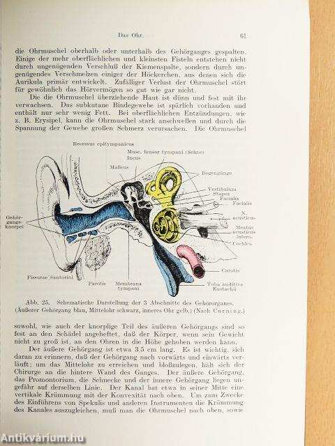 Chirurgische Anatomie