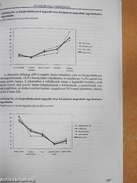 Székelyföldi jövőképek - térségi fejlesztéspolitika