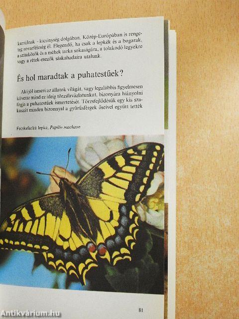 A négymilliárd éves élet