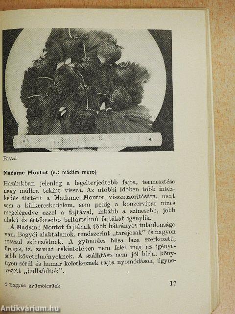 Bogyós gyümölcsűek a házikertben