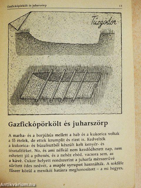 Mit ettek a Vadnyugat hősei?