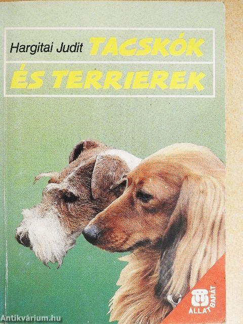 Tacskók és terrierek