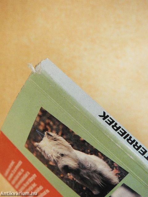 Tacskók és terrierek